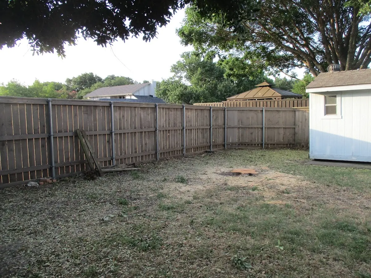 Cleared yard after professional tree removal in Hanscom Afb